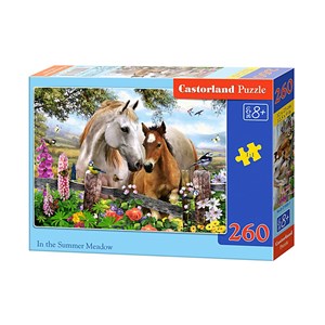 Castorland (B-27309) - "In the Summer Meadow" - 260 Teile Puzzle