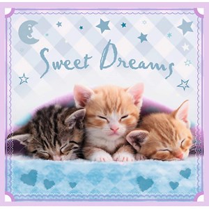 Trefl (34809) - "Katzen" - 20 36 50 Teile Puzzle