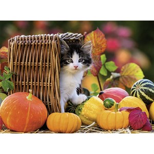 Ravensburger (13603) - "Kätzchen im Herbst" - 500 Teile Puzzle