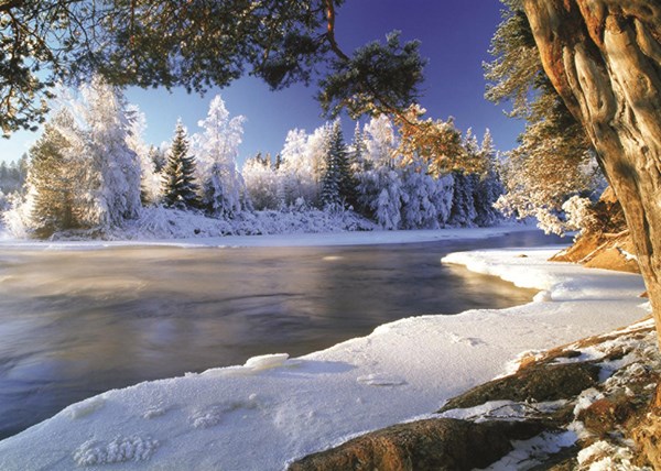 Jumbo (18549) - "Winterlicher Fluss in Schweden" - 1000 Teile Puzzle