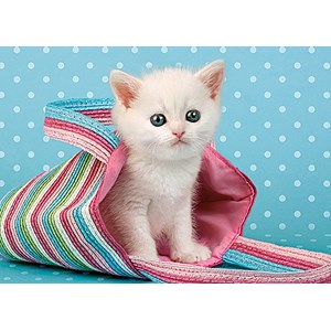 Castorland (B-010172) - "White Cat in Bag" - 108 Teile Puzzle