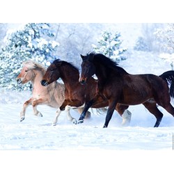 Ravensburger (14140) - "Galopp im Schnee" - 500 Teile Puzzle