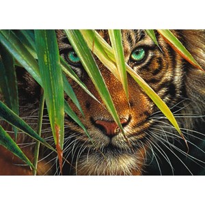 Ravensburger (19486) - "Mysterious Tiger" - 1000 Teile Puzzle