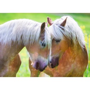 Ravensburger (19485) - "Intimate Moment" - 1000 Teile Puzzle