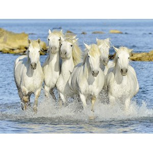 Ravensburger (16285) - "Spritzige Erfrischung" - 1500 Teile Puzzle