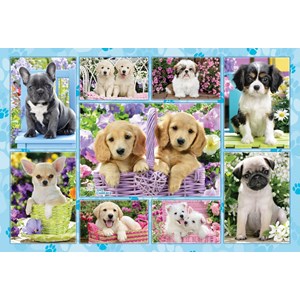 Schmidt Spiele (56162) - "Welpen" - 200 Teile Puzzle