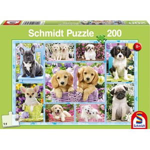 Schmidt Spiele (56162) - "Welpen" - 200 Teile Puzzle