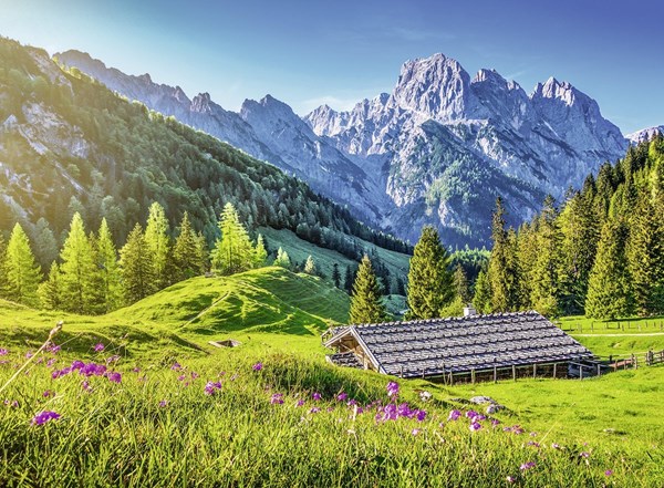 Ravensburger (13646) - "Mountain Meadow" - 300 Teile Puzzle