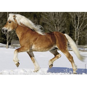 Nathan (86733) - "Pferd" - 100 Teile Puzzle