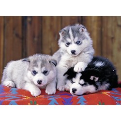 Ravensburger (12823) - "Huskies" - 200 Teile Puzzle
