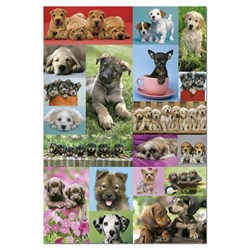 Educa (14441) - "Little Dogs" - 1000 Teile Puzzle