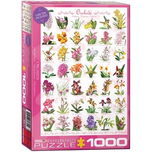 Eurographics (6000-0655) - "Orchideen" - 1000 Teile Puzzle