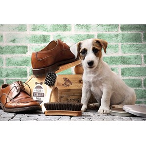 Tactic (53339) - "The Little Shoe-Shine" - 500 Teile Puzzle