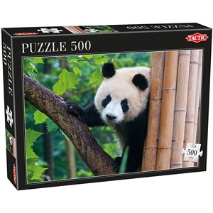 Tactic (53558) - "Panda" - 500 Teile Puzzle