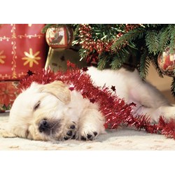 Ravensburger (07546) - "Christmas Puppy" - 80 Teile Puzzle