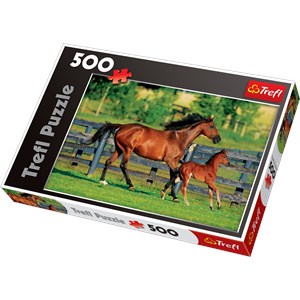 Trefl (370959) - "Foal's First Steps" - 500 Teile Puzzle