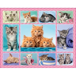 Ravensburger (10530) - Greg Cuddiford: "Cute Kitten" - 100 Teile Puzzle