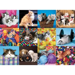 Ravensburger (13197) - "Cats Collage" - 300 Teile Puzzle