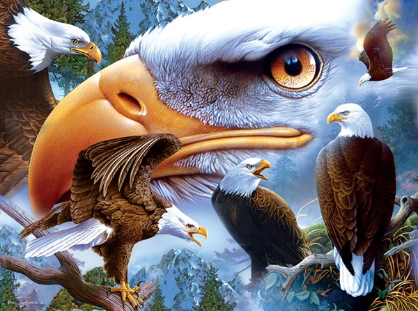 SunsOut (18943) - Jerry Gadamus: "Tapfer und Schön" - 1000 Teile Puzzle