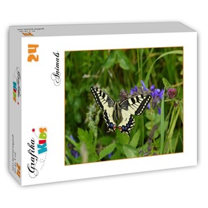 Grafika Kids (01224) - "Schmetterling" - 24 Teile Puzzle