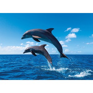 Tactic (53864) - "Dolphin Paradise" - 1000 Teile Puzzle