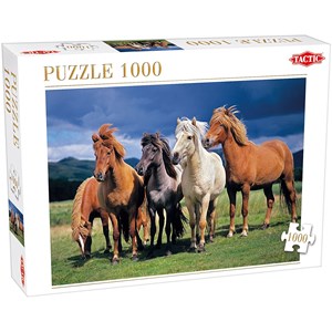 Tactic (53929) - "Camargue Horses" - 1000 Teile Puzzle