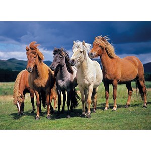 Tactic (53929) - "Camargue Horses" - 1000 Teile Puzzle