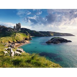 Ravensburger (16626) - "Die grüne Insel" - 2000 Teile Puzzle