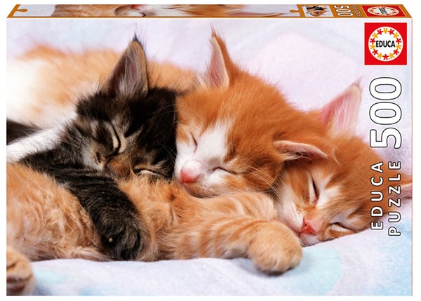 Educa (17087) - "Schlummernde Kätzchen" - 500 Teile Puzzle