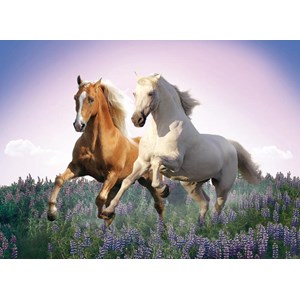 Clementoni (30287) - "Free Horses" - 500 Teile Puzzle