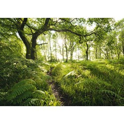 Schmidt Spiele (59382) - Stefan Hefele: "Der verwunschene Pfad" - 1000 Teile Puzzle