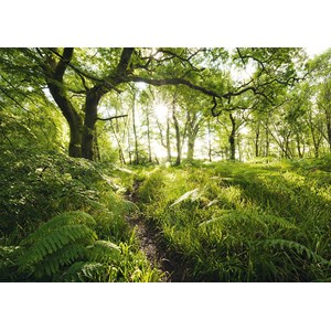 Schmidt Spiele (59382) - Stefan Hefele: "Der verwunschene Pfad" - 1000 Teile Puzzle