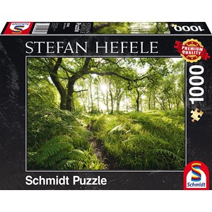 Schmidt Spiele (59382) - Stefan Hefele: "Der verwunschene Pfad" - 1000 Teile Puzzle