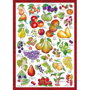 Schmidt Spiele (59569) - "Früchte" - 1000 Teile Puzzle