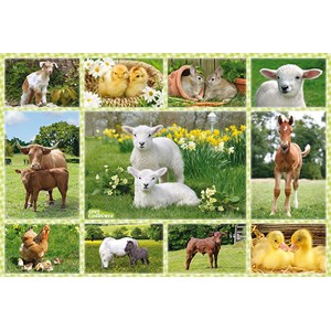 Schmidt Spiele (56194) - "Tierkinder auf dem Bauernhof" - 100 Teile Puzzle
