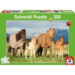 Schmidt Spiele (56199) - "Pferdefamilie" - 200 Teile Puzzle