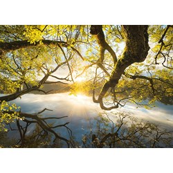 Schmidt Spiele (59383) - Stefan Hefele: "Umarmung aus Gold" - 1000 Teile Puzzle