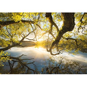 Schmidt Spiele (59383) - Stefan Hefele: "Umarmung aus Gold" - 1000 Teile Puzzle