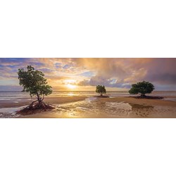 Schmidt Spiele (59394) - Mark Gray: "Cape Tribulation, Daintree national Park, Queensland, Australia" - 1000 Teile Puzzle