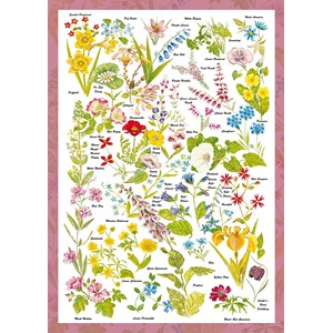 Schmidt Spiele (59566) - "Wildblumen" - 1000 Teile Puzzle