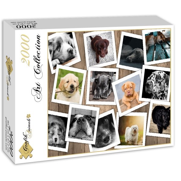Grafika (02210) - "Dogs" - 2000 Teile Puzzle
