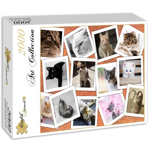 Grafika (02212) - "Katzen" - 2000 Teile Puzzle