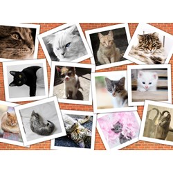 Grafika (02212) - "Katzen" - 2000 Teile Puzzle