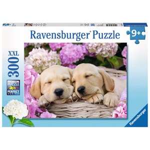 Ravensburger (13235) - "Süße Hunde im Körbchen" - 300 Teile Puzzle