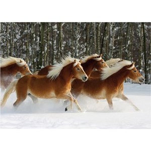 D-Toys (65933-HH04) - "Haflinger 4" - 239 Teile Puzzle