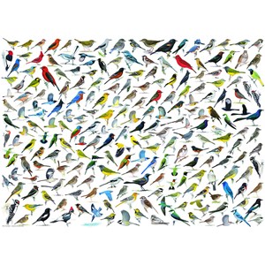 Eurographics (6000-0821) - "Vögelwelt" - 1000 Teile Puzzle
