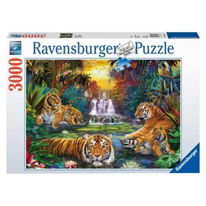 Ravensburger (170579) - "Tigers at the Waterhole" - 3000 Teile Puzzle
