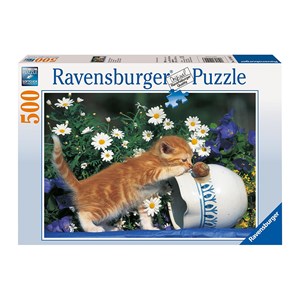 Ravensburger (14104) - "Curiosity" - 500 Teile Puzzle
