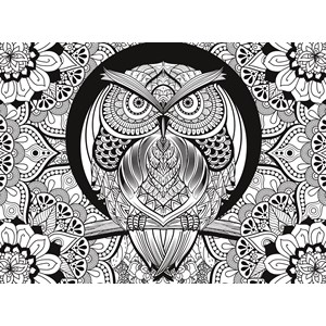 Clementoni (35050) - "Eule" - 500 Teile Puzzle