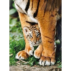Clementoni (35046) - "Bengalisches Tigerbaby" - 500 Teile Puzzle